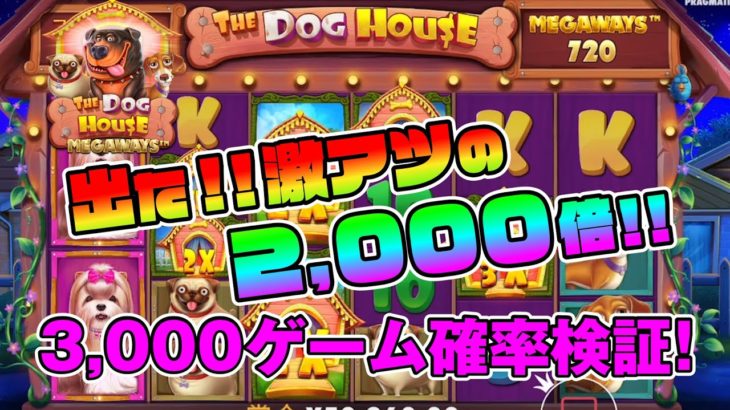 【オンラインカジノ】DOG HOUSE MEGAWAYS 3,000ゲーム確率検証！！【2,000倍の高配当】