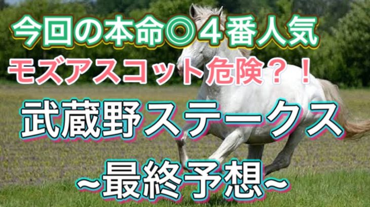 武蔵野S2020（最終予想&印紹介）競馬予想　今年は３歳馬に注目！！　初心者にもわかりやすいように解説しています