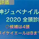 【競馬予想】　阪神ジュベナイルフィリーズ　2020 全頭診断　事前予想　阪神JF