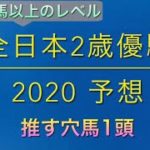 【競馬予想】　地方交流重賞　全日本2歳優駿　2020 予想