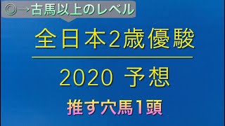【競馬予想】　地方交流重賞　全日本2歳優駿　2020 予想
