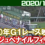 [G1結果] 阪神ジュベナイルフィリーズ ～1番人気は白毛馬ソダシ／2020年12月13日