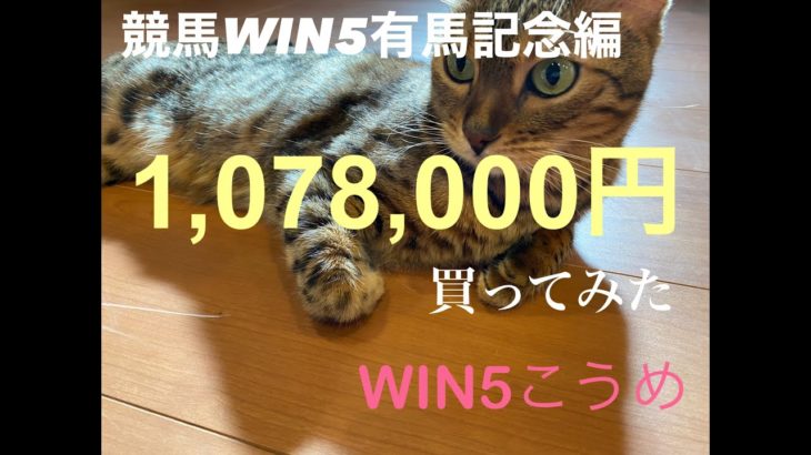 競馬WIN５有馬記念編¥1,078,000買ってみた