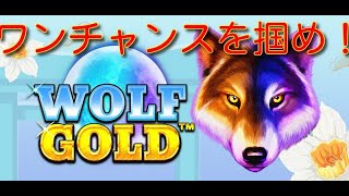 【オンラインカジノ】Wolf Gold