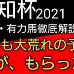 【競馬】愛知杯2021 枠順確定前考察（ブリンカー装着！！あるぞ！ウインマイティーの逆襲）