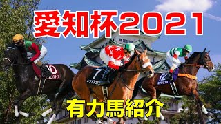 【競馬】愛知杯2021有力馬紹介（武豊騎手はレッドアステルに騎乗）中京競馬場