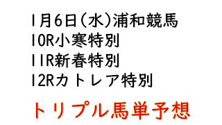 【浦和競馬トリプル馬単予想】小寒特別・新春特別・カトレア特別【2021年1月6日】