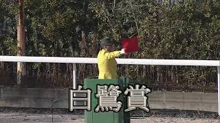 【姫路競馬】白鷺賞2021　ジンギ2021年初戦