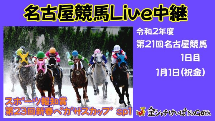 名古屋競馬Live中継　R03.01.01