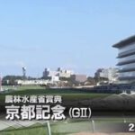 【競馬】2021 京都記念　G2  阪神芝2200m 2/14