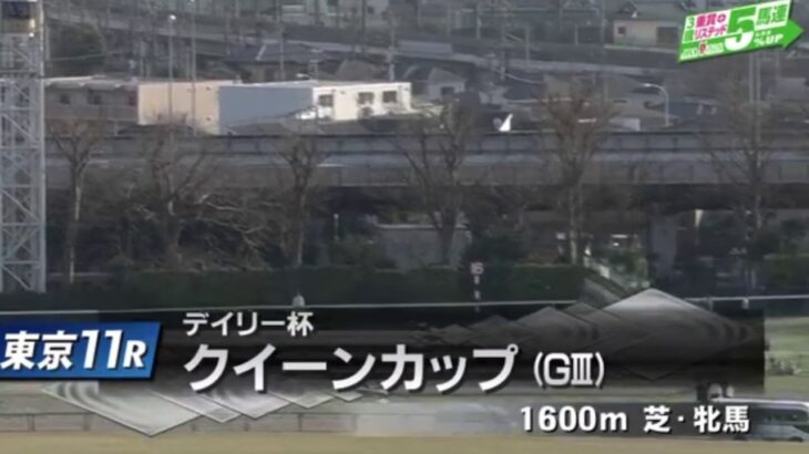 【競馬】2021 デイリー杯クイーンカップG3  東京芝1600m