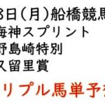 【船橋競馬トリプル馬単予想】海神スプリント・野島崎特別・久留里賞【2021年2月8日】