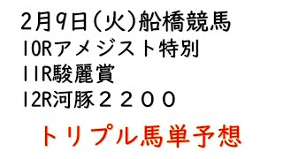 【船橋競馬トリプル馬単予想】アメジスト特別・駿麗賞・河豚２２００【2021年2月9日】