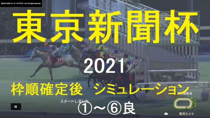 【競馬予想2021】第71回東京新聞杯（GⅢ）。シミュレーション枠順確定後6パターン（①～⑥良）【WP9】20210205