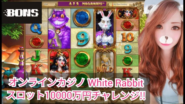 【BONS】オンラインカジノ white rabbit スロット100ドルチャレンジ！雑談大歓迎