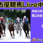 名古屋競馬Live中継　R03.02.08