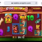 【オンラインカジノ】THE DOG HOUSE 10ドル勝負💵