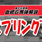 【2021スプリングS】元TMと血統評論家の重賞血統談義！！！