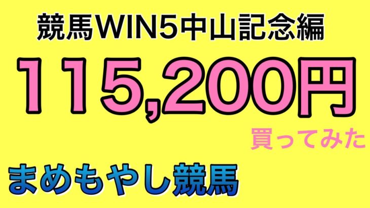 競馬WIN５　中山記念　¥115,200円買ってみた