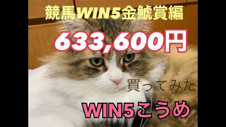 競馬WIN５金鯱賞編¥633,600買ってみた