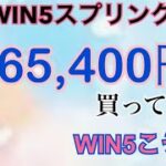 競馬WIN５スプリングS編¥365,400買ってみた