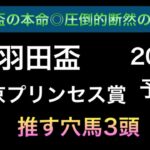 【競馬予想】　東京プリンセス賞　羽田盃　2021 予想