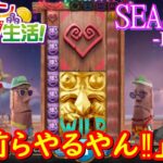 オンラインカジノ生活SEASON-DAY54-【JOYカジノ】