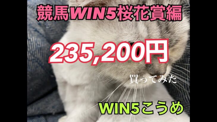 競馬WIN５桜花賞週235,200買ってみた