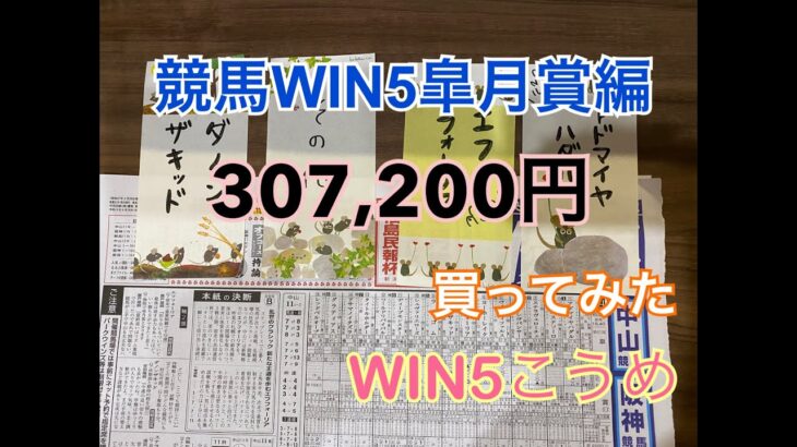 競馬WIN５皐月賞編¥307,200買ってみた