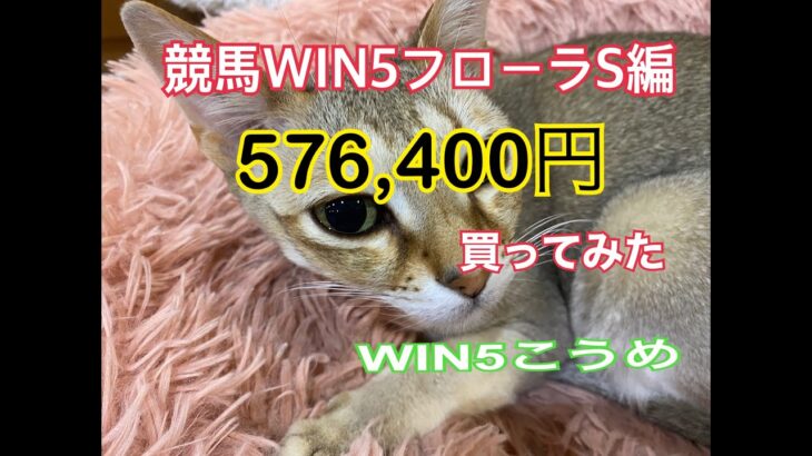 競馬WIN５フローラS編¥576,400買ってみた