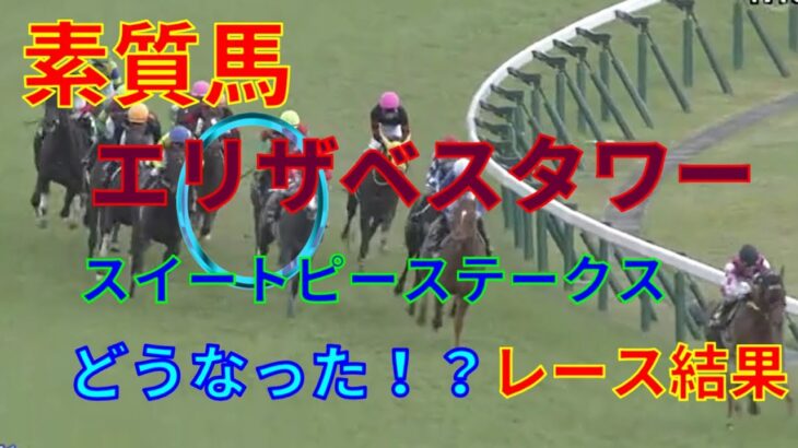 【競馬】素質馬エリザベスタワーはどうなった！？　スイートピーステークス2021レース結果