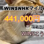 競馬NHKマイルカップ週WIN５¥441,000買ってみた
