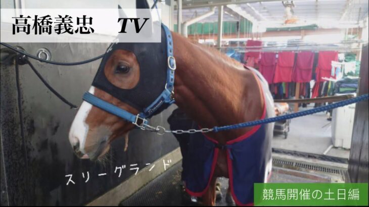【高橋義忠TV】競馬開催の土日編
