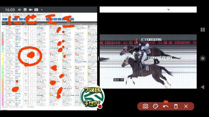 ライブ地方競馬【兵庫チャンピオンシップ】ﾌﾟﾛ競馬予想TV(horse Racing Sports)