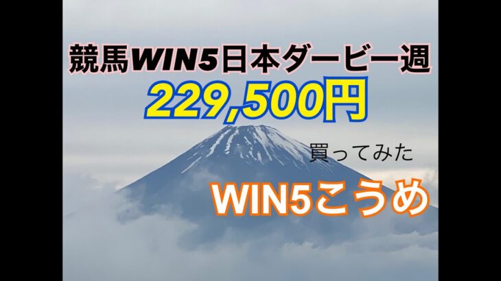 競馬WIN５日本ダービー週¥229,500買ってみた