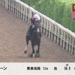 【川崎競馬】関東オークス(2021)調教VTR