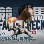 賽馬直播｜競馬Fact Check 2021-06-09 Live直播九場HKJC香港賽馬會快活谷草地夜馬 即場貼士 AI模擬賽果 排隊馬 | 蘋果日報 Apple Daily