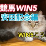 競馬WIN５安田記念週