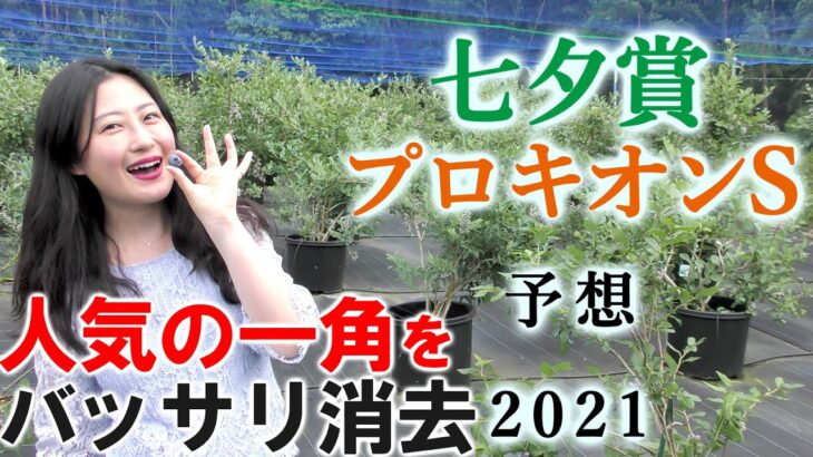 【競馬】七夕賞 プロキオンS 2021 予想(マリーンS,阿武隈Sはブログで）ヨーコヨソー