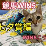 競馬WIN５七夕賞編