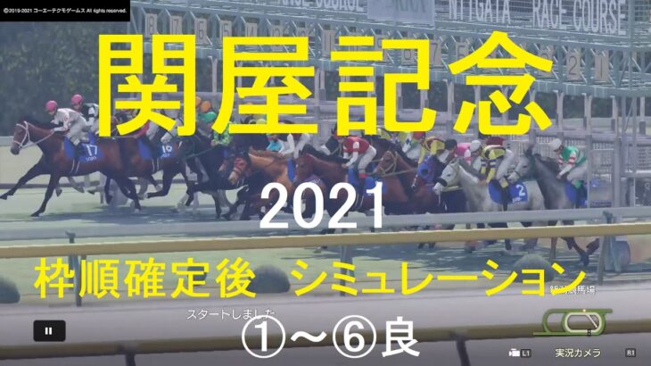 【競馬予想2021】関屋記念（GⅢ）シミュレーション枠順確定後6パターン（①～⑥良）【WP9】20210813