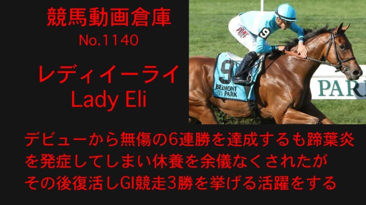 【競馬】レディイーライ　Lady Eli【No1140】
