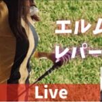 【競馬ライブ】エルムS・レオパードS！夏競馬みんなで楽しもう(^^)/