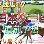 【西日本ダービー 2021】直前予想〜三頭勝負〜パンダ競馬TV