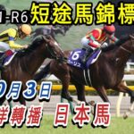 11:30👍開始【日本賽馬】短途馬錦標 10月3日 中山競馬場