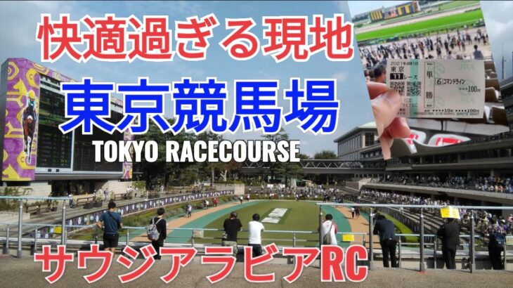 ぼっち競馬 東京競馬場が快適過ぎた 2021年10月9日【サウジアラビアRC コマンドライン】Tokyo Racecourse with DJI Pocket2