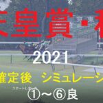 【競馬予想2021】天皇賞・秋（GⅠ）シミュレーション枠順確定後6パターン（①～⑥良）【WP9】20211028