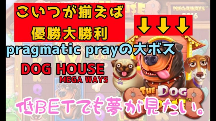 【オンラインカジノ】DOG HOUSEは犬出せたら勝ち！！【リプレイ動画】