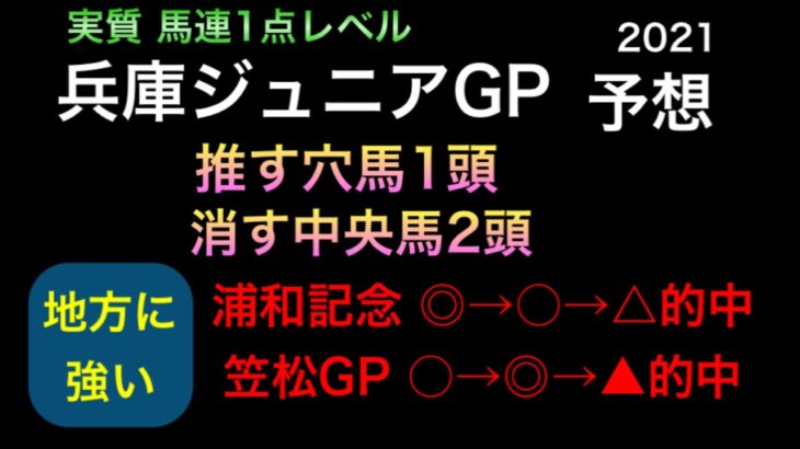 【競馬予想】　地方交流重賞　兵庫ジュニアグランプリ　2021 予想