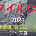 【競馬予想2021】マイルCS（GⅠ）阪神芝1600mシミュレーション枠順確定後6パターン（①～⑥良）【WP9】20211119